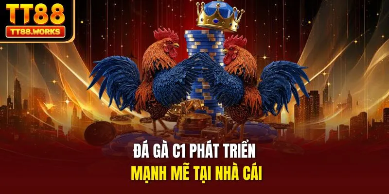 Đá gà C1 phát triển mạnh mẽ tại nhà cái